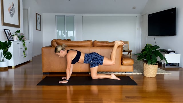 30min full body workout – pregnancy safe